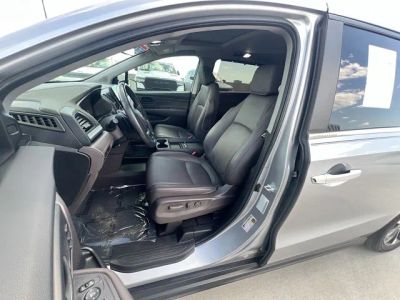 2024 Honda Odyssey — photo 14 view