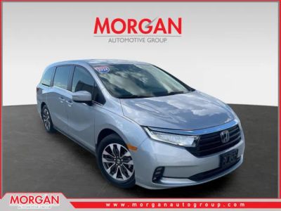 2024 Honda Odyssey EX-L — front three-quarter view