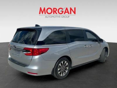2024 Honda Odyssey — photo 8 view