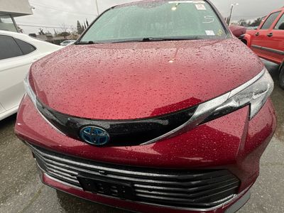 2021 Toyota Sienna - Photo 6