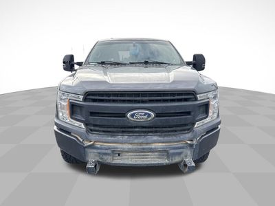 2019 Ford F-150 - Photo 3