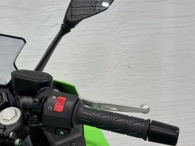 2026 Kawasaki Ninja 500 SE ABS - Photo 20