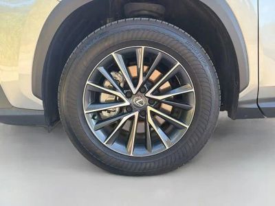 2025 Lexus NX — photo 42 view