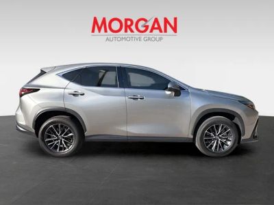 2025 Lexus NX — side profile view