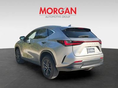 2025 Lexus NX — detail view