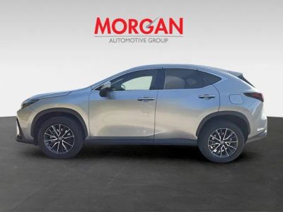 2025 Lexus NX — engine compartment view