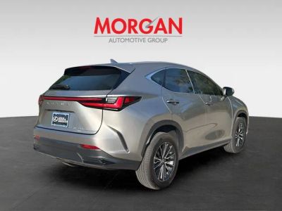 2025 Lexus NX — rear three-quarter view
