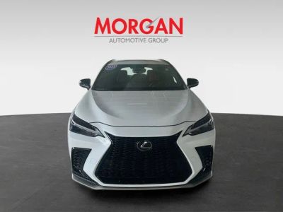 2023 Lexus NX — rear three-quarter view