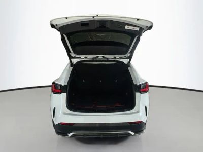 2023 Lexus NX — photo 29 view