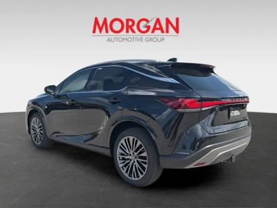 2026 Lexus RX — detail view