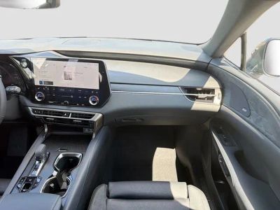 2026 Lexus RX — photo 19 view