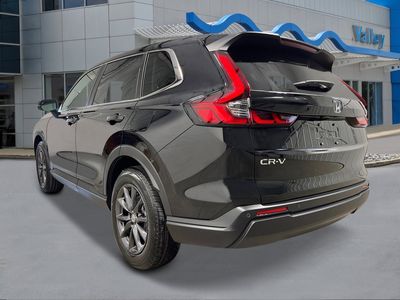 2026 Honda CR-V - Photo 3