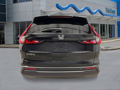 2026 Honda CR-V - Photo 4