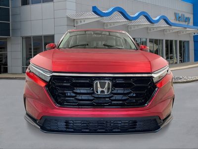 2026 Honda CR-V - Photo 8