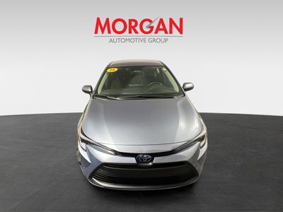2025 Toyota Corolla Hybrid - Photo 8