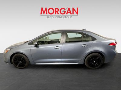 2025 Toyota Corolla Hybrid - Photo 6