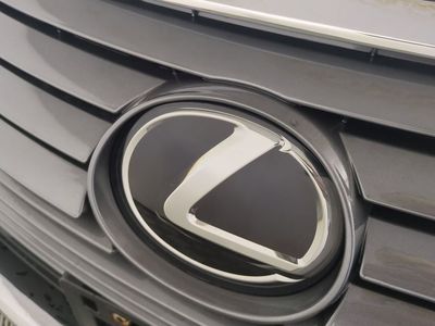 2019 Lexus RX - Photo 13