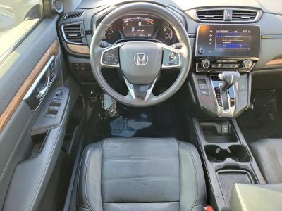 2019 Honda CR-V — photo 14 view