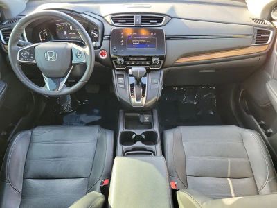 2019 Honda CR-V — photo 13 view