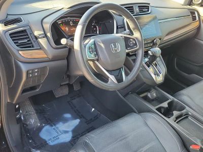 2019 Honda CR-V — photo 15 view