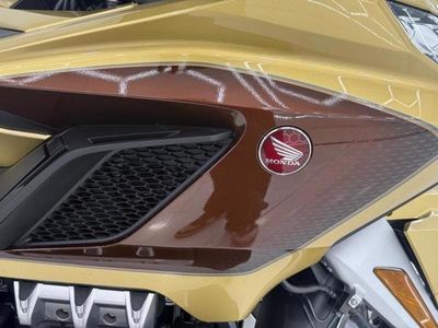2025 Honda Gold Wing Tour 50th Anniversary DCT - Photo 13