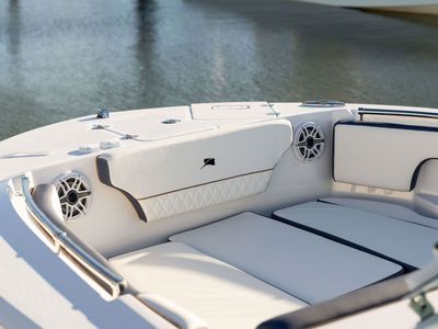 2026 Stingray 20 SBX - Photo 2