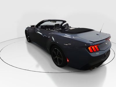 2024 Ford Mustang - Photo 5