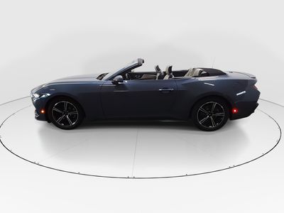 2024 Ford Mustang - Photo 4