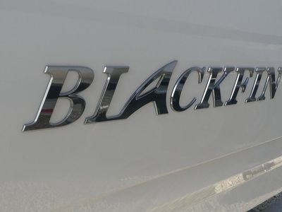 2026 Blackfin 252DC - Photo 5