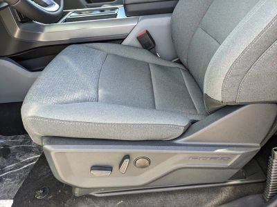 2026 Ford F-150 — photo 19 view