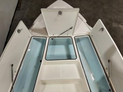 2025 Sea Born FX21 Bay LT - Photo 5