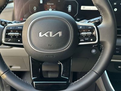 2026 Kia Carnival Hybrid — photo 13 view
