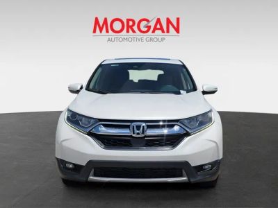 2019 Honda CR-V — side profile view