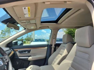 2019 Honda CR-V — photo 22 view