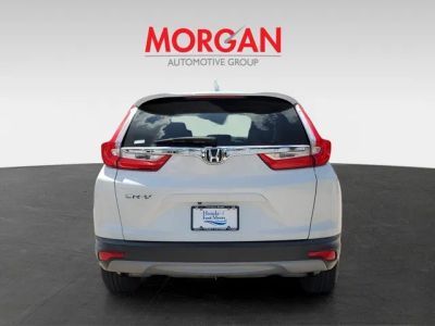 2019 Honda CR-V — detail view
