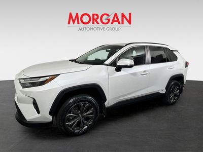 2025 Toyota RAV4 Hybrid - Photo 7