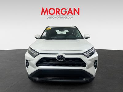 2025 Toyota RAV4 Hybrid - Photo 8