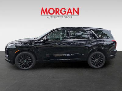 2025 Hyundai PALISADE — photo 8 view