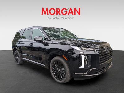 2025 Hyundai PALISADE — side profile view