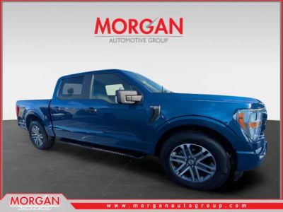 2022 Ford F-150 XL in Blue — front three-quarter view