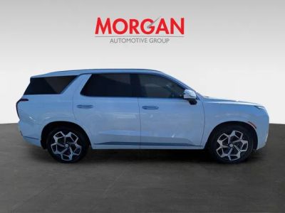 2022 Hyundai Palisade — side profile view