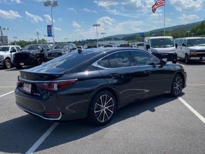 2025 Lexus ES — detail view