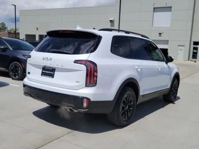 2024 Kia Telluride — detail view