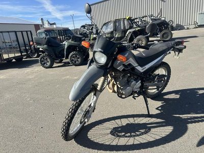2024 Yamaha XT250PC - Photo 7