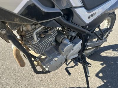 2024 Yamaha XT250PC - Photo 9