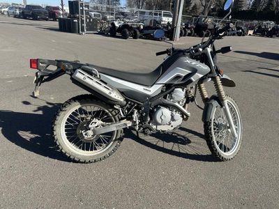 2024 Yamaha XT250PC - Photo 3