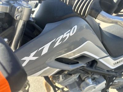 2024 Yamaha XT250PC - Photo 8