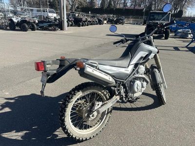 2024 Yamaha XT250PC - Photo 4