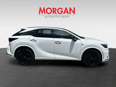 2024 Lexus RX — photo 8 view
