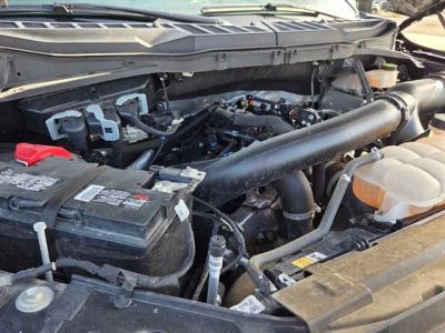 2024 Ford F-150 — photo 24 view